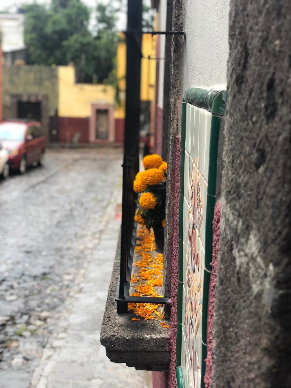 Xacalli Hotel San Miguel de Allende Exterior photo